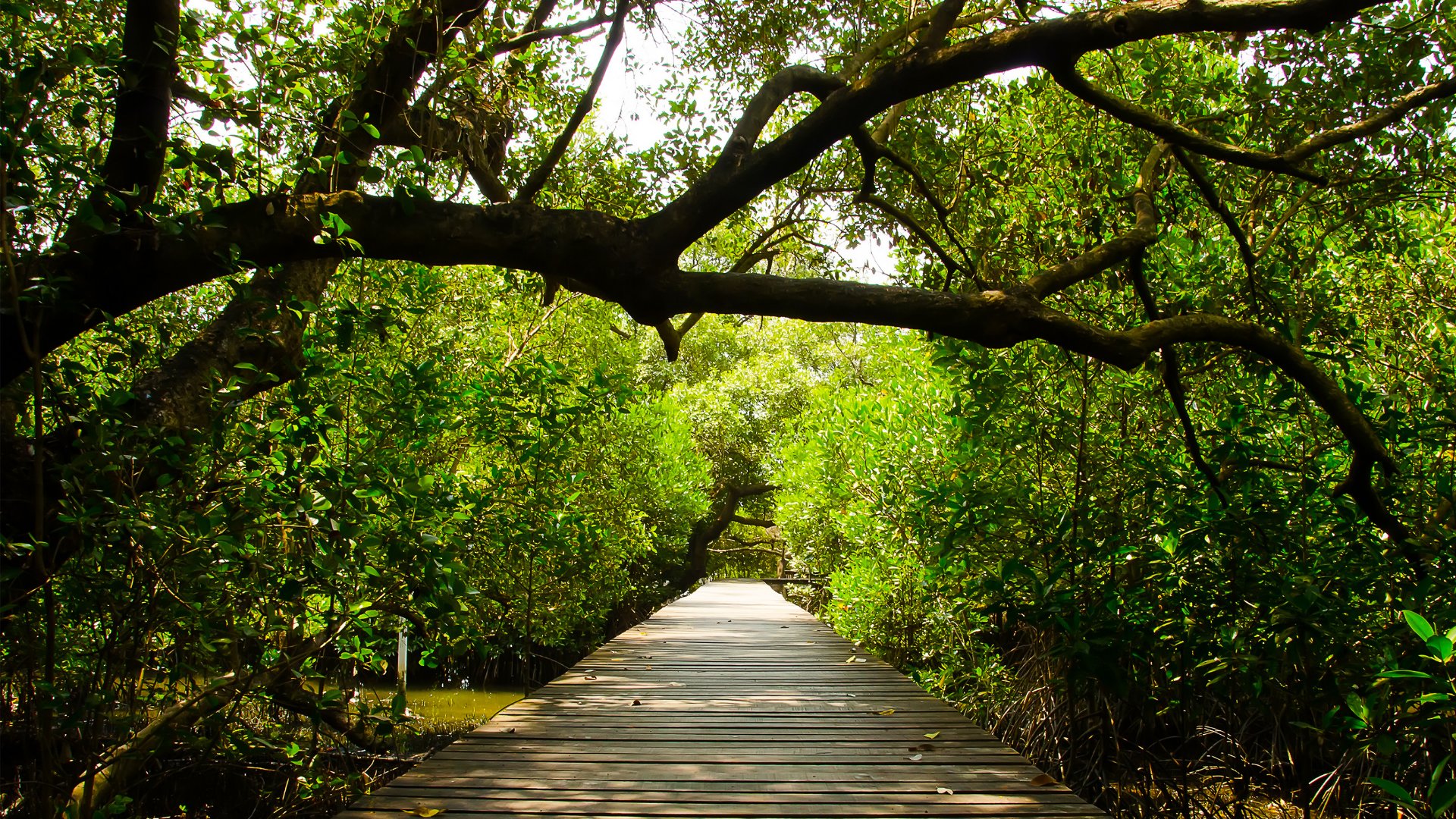 Artisan Ridge - PHASE 1 - Pre-Construction Condo in Thorold