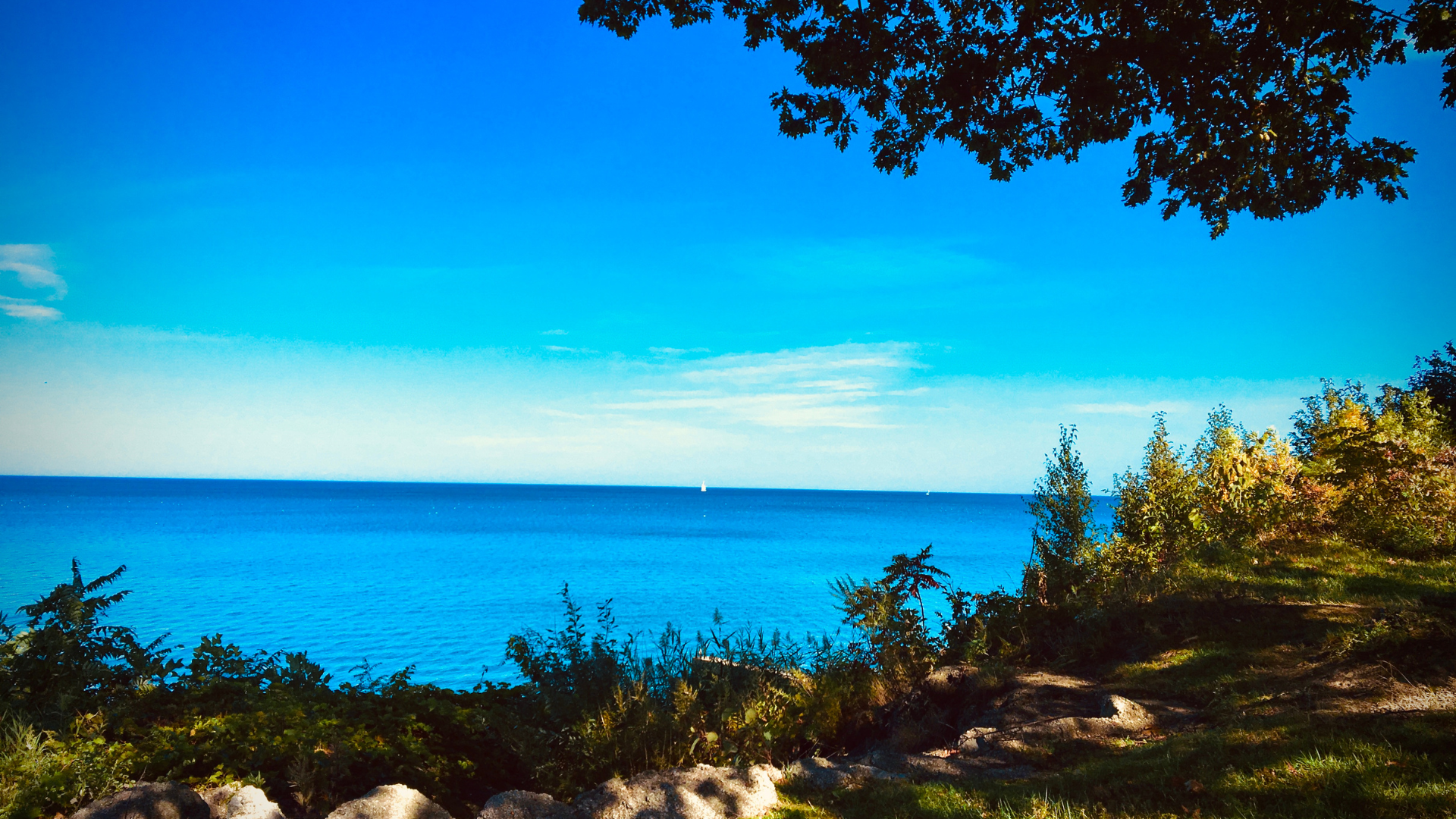 Bevel Line Village - Pre-Construction Condo in Leamington