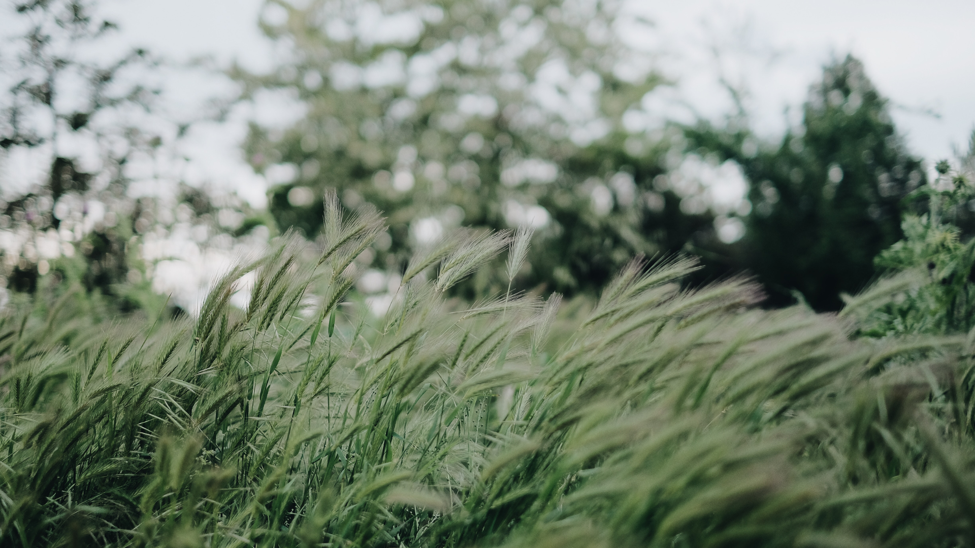 Hart Village - Pre-Construction Condo in Guelph