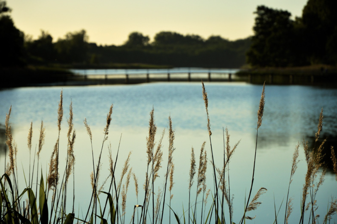 Paradise By The Lake - Pre-Construction Condo in Orillia