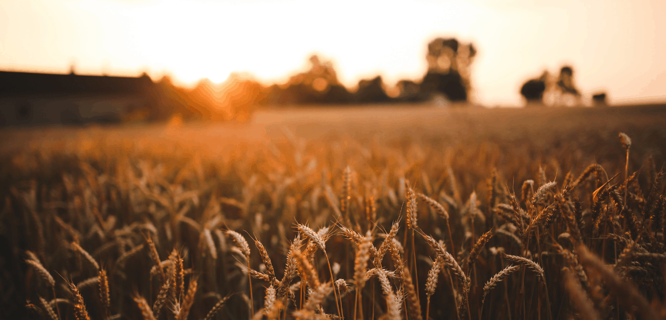 The Point - Pre-Construction Condo in Niagara