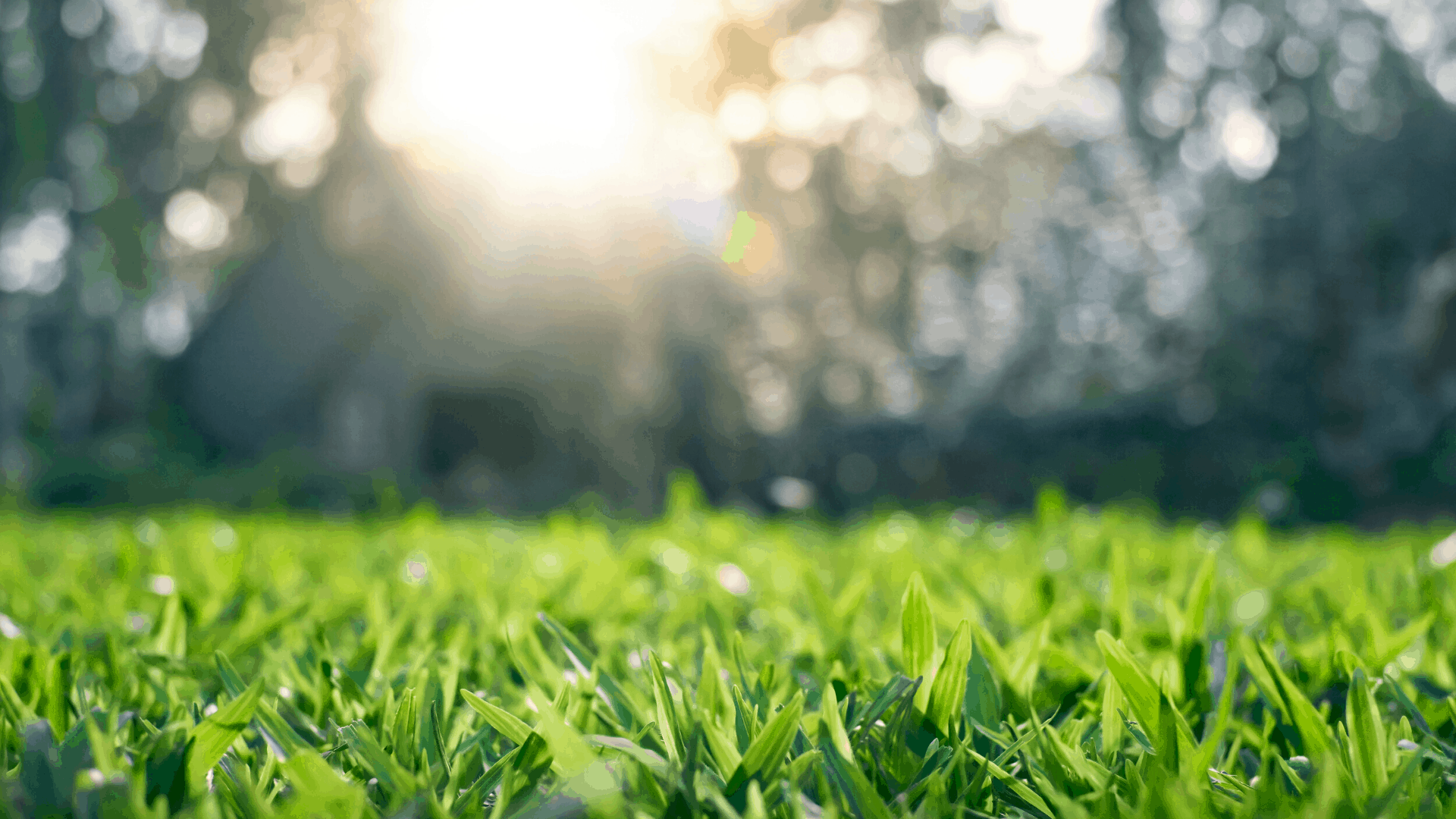 Trailways Stouffville - Pre-Construction Condo in Stouffville