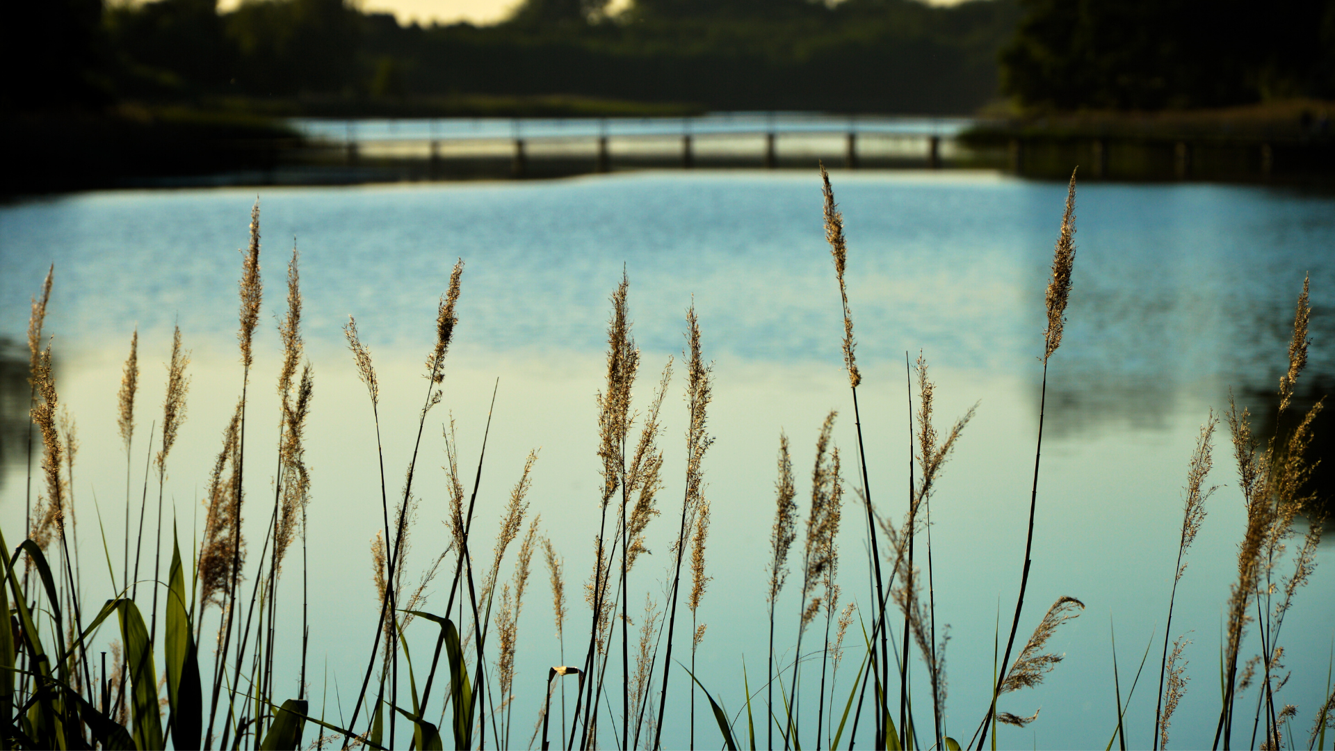 Vine Ridge Boutique Towns - Pre-Construction Condo in Prince