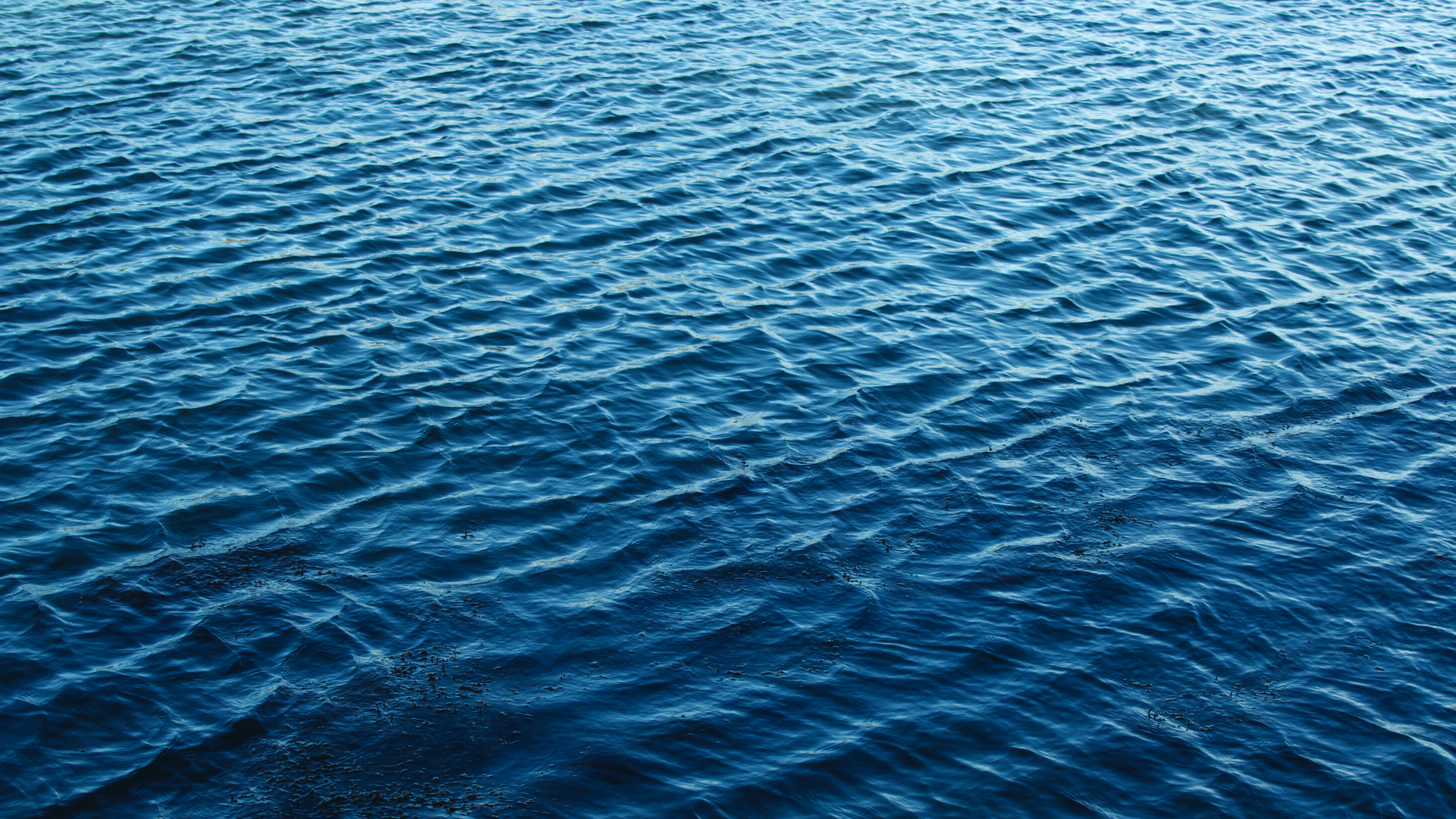 Waterstone Modern Townes - Pre-Construction Condo in Collingwood