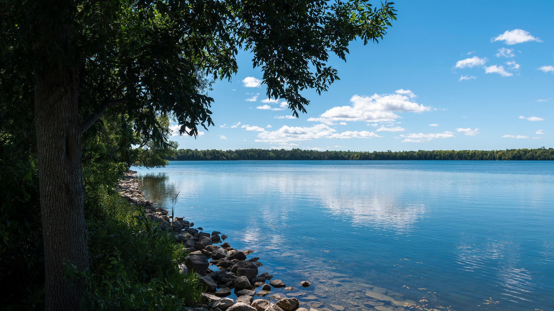 West Meadows - Pre-Construction Condo in Prince Edward