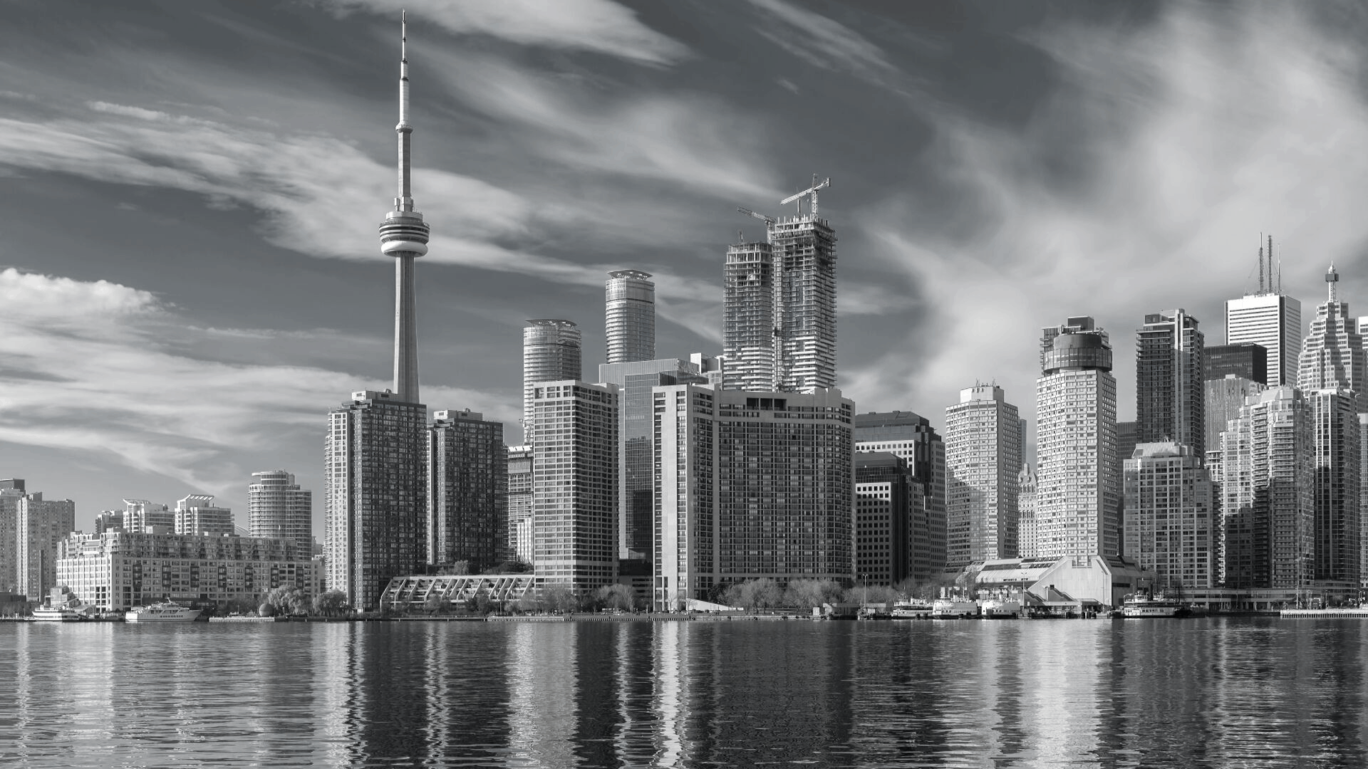 Whitehaus - Pre-Construction Condo in Toronto